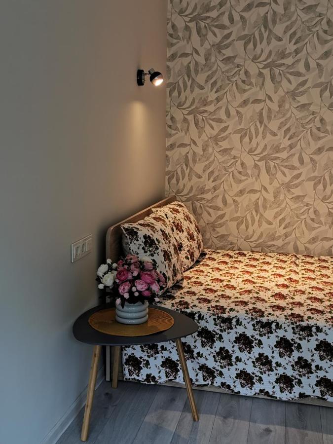 Upes Apartamentai Birzai Luaran gambar
