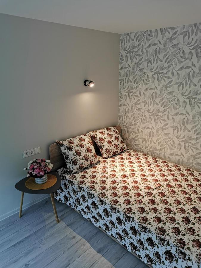 Upes Apartamentai Birzai Luaran gambar