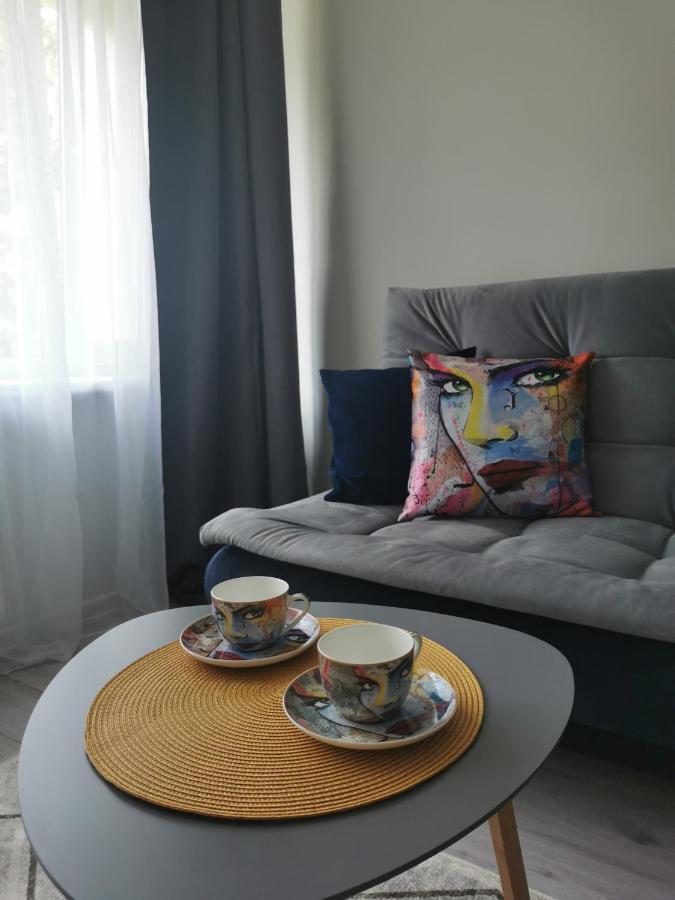 Upes Apartamentai Birzai Luaran gambar