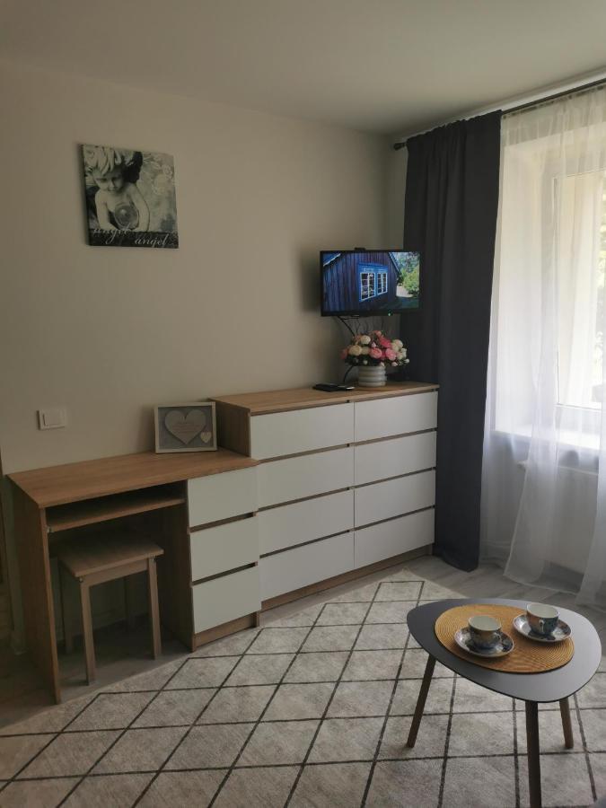 Upes Apartamentai Birzai Luaran gambar